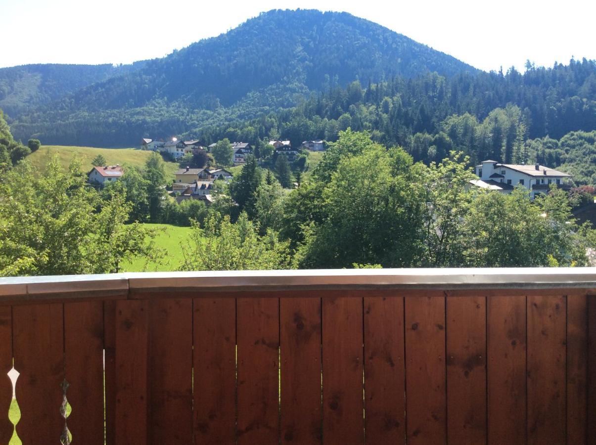 Eisenstattgut Faistenau Luaran gambar