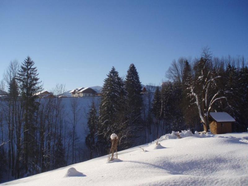 Eisenstattgut Faistenau Luaran gambar