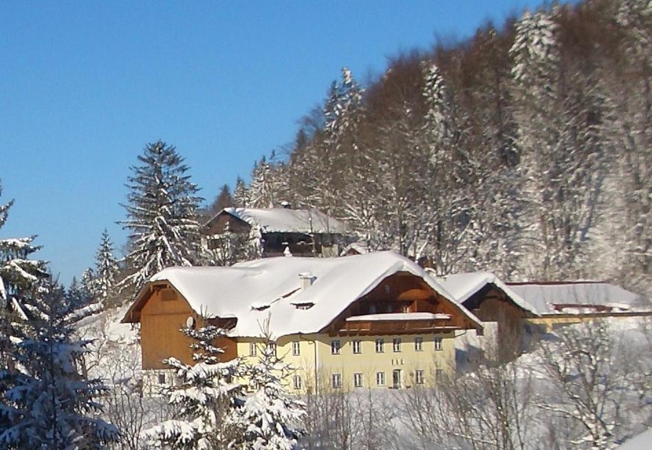 Eisenstattgut Faistenau Luaran gambar
