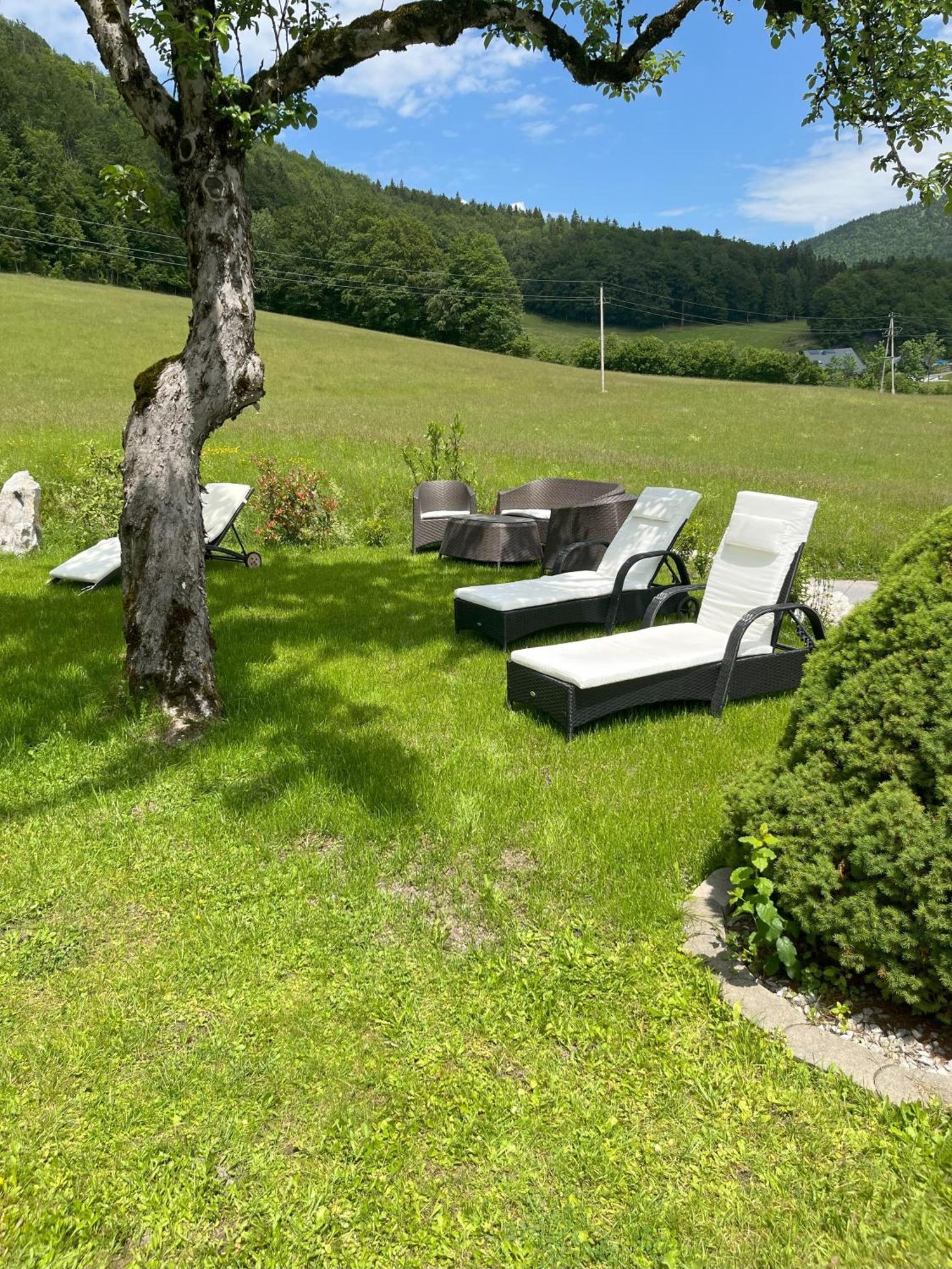 Eisenstattgut Faistenau Luaran gambar