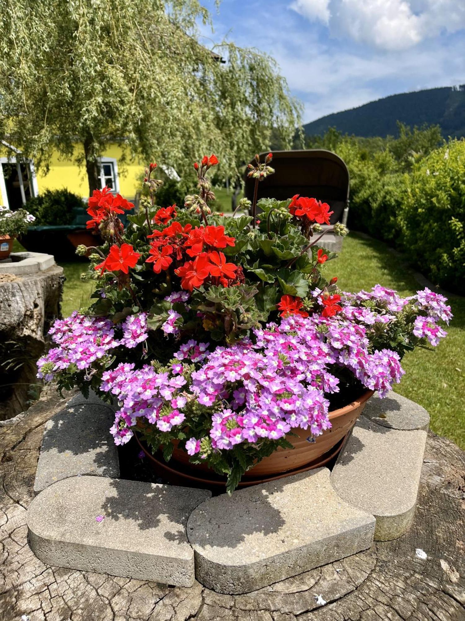 Eisenstattgut Faistenau Luaran gambar